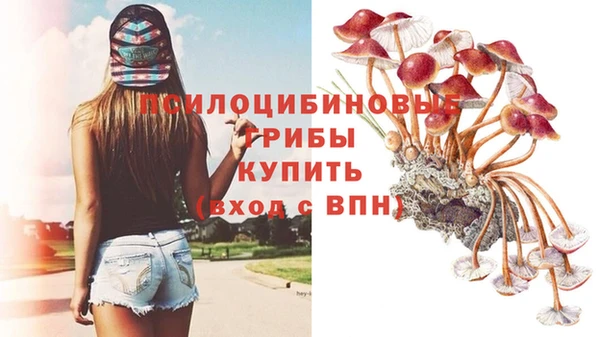 МДМА Кодинск
