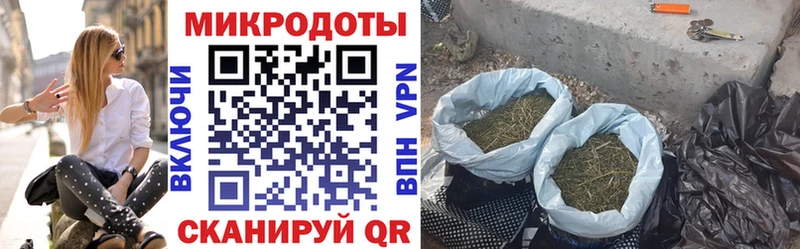 Псилоцибиновые грибы Psilocybine cubensis  Химки 